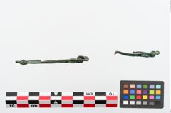 Foto von Bronzeschlangenfibel (NHMW-PRAE-024344)